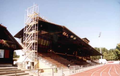 Stadion Neufeld - Tribüne