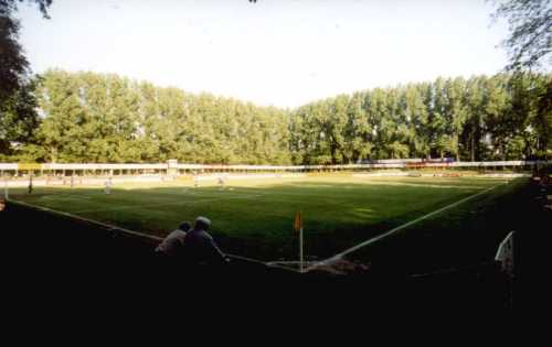 Stadion Delsen - der alte Mann, der Wald und der Platz