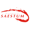 SV SAESTUM